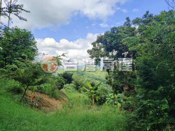 台中市霧峰區桐林一期6號渡假休閒農地｜台中市霧峰區南坑段