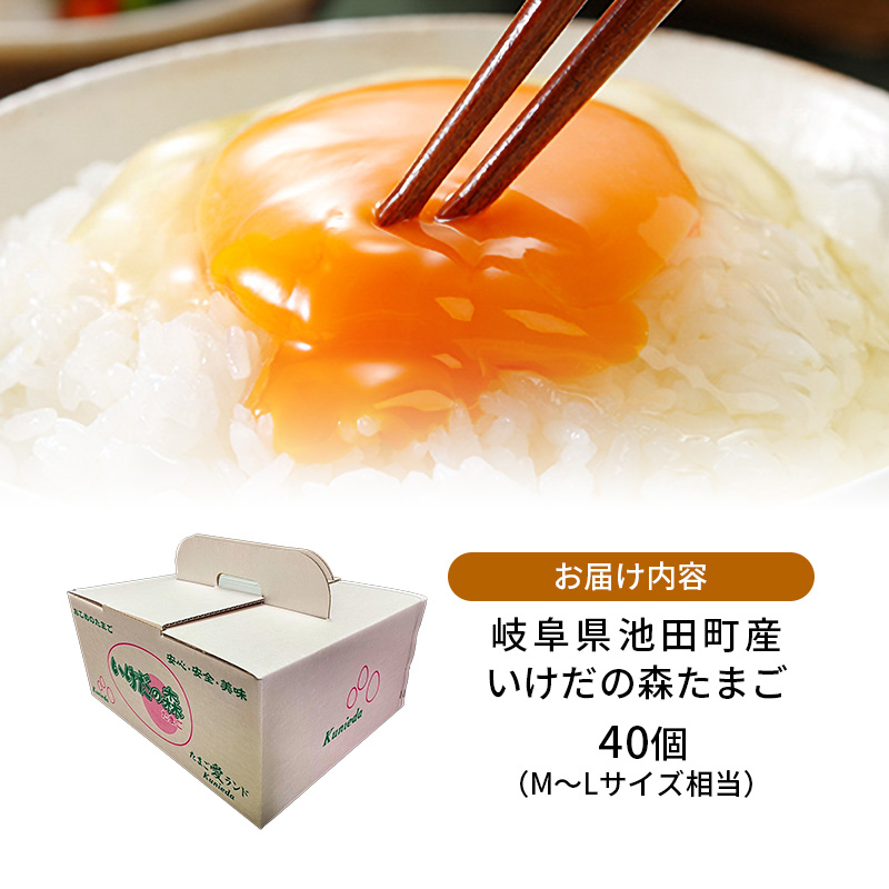 卵 わずか4%の希少な純国産鶏 いけだの森たまご 40個 こだわり おこめのたまご 玉子 鶏卵 生卵 産地直送 冷蔵配送 TKG 卵かけご飯 岐阜県産