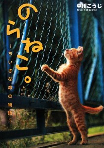  のらねこ。 ちいさな命の物語／中川こうじ