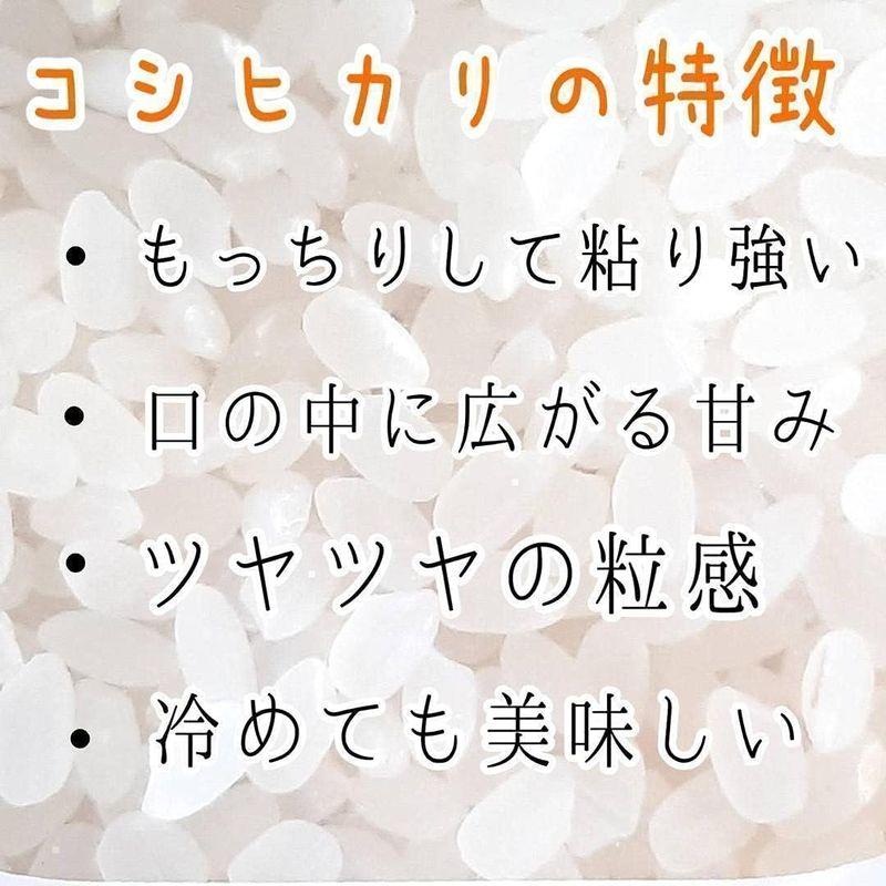 玄米新米 産地直送令和3年産 埼玉県産 コシヒカリ 玄米 30kg 未検査米 おいしいお米