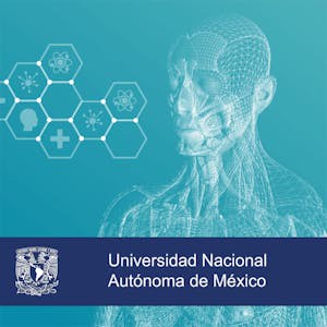 Salud desde las ciencias de la complejidad