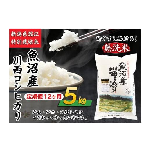 ふるさと納税 新潟県 十日町市 無洗米　魚沼産川西こしひかり５kg　　令和５年度米