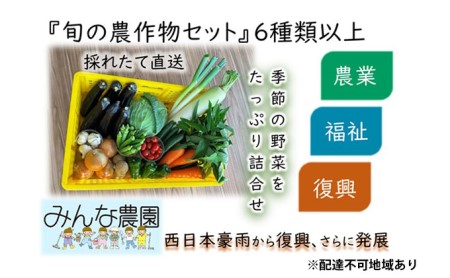 倉敷市真備町みんな農園 『旬の農作物セット』