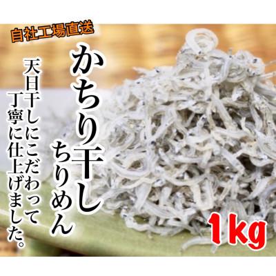 ふるさと納税 南知多町 日間賀島産かちり1kg・天日干しちりめん・上乾しらす・愛知県産・島の工場から直送