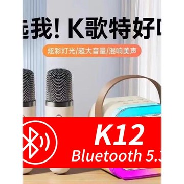 歐美德國進口技術K12跨境亞馬遜藍牙K歌音箱小音響無線麥克風話筒
