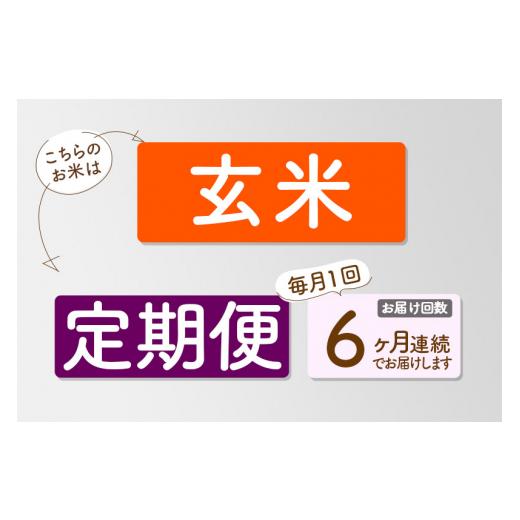 ふるさと納税 秋田県 美郷町 《定期便6ヶ月》令和5年産 特別栽培米あきたこまち 5kg（5kg×1袋）×6回 計30kg 6か月 6ヵ月 6カ月 6ケ月