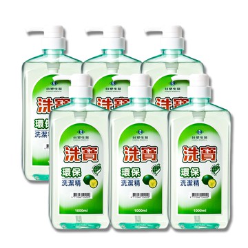 洗寶環保洗潔精1000g (6瓶/組)
