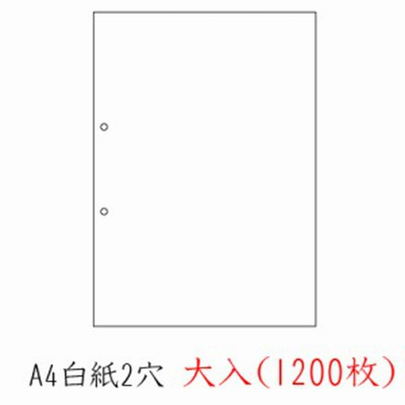 送料無料 ヒサゴ 白紙2穴 大入 10枚 通販 Lineポイント最大1 0 Get Lineショッピング