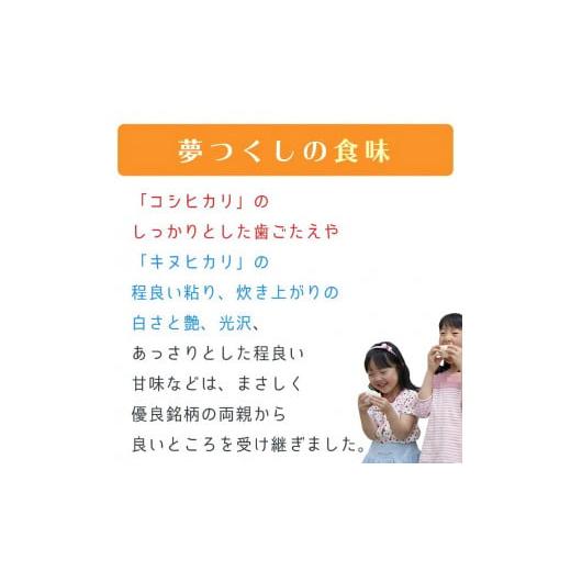 ふるさと納税 福岡県 久留米市 令和５年産　普通精米　福岡県産夢つくし計３回合計30ｋ