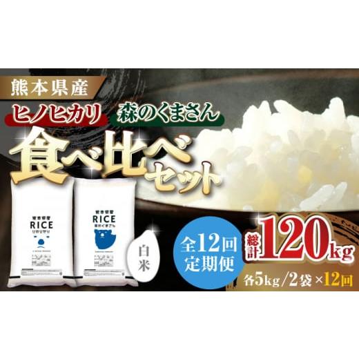 ふるさと納税 熊本県 山鹿市 ヒノヒカリ ・ 森のくまさん 白米 各5kg各5kg 精米 特A ヒ…