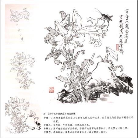 カキ　白描花卉　中国画技法　学画宝典　中国絵画 白描花卉　学画宝典