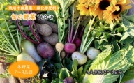 旬の野菜詰め合わせ 冬野菜 栽培期間中農薬・化学肥料不使用 7～9品目