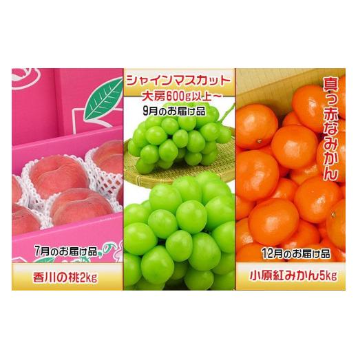 ふるさと納税 香川県 坂出市  フルーツ セット 定期便 桃 約2kg  シャインマスカット 1房 約600g以上  みかん 5kg × 3ヶ月 …