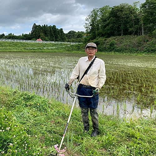 水菜土農園新米 秋田県産 ミルキークイーン 2kg 令和5年産 古代米お試し袋付き