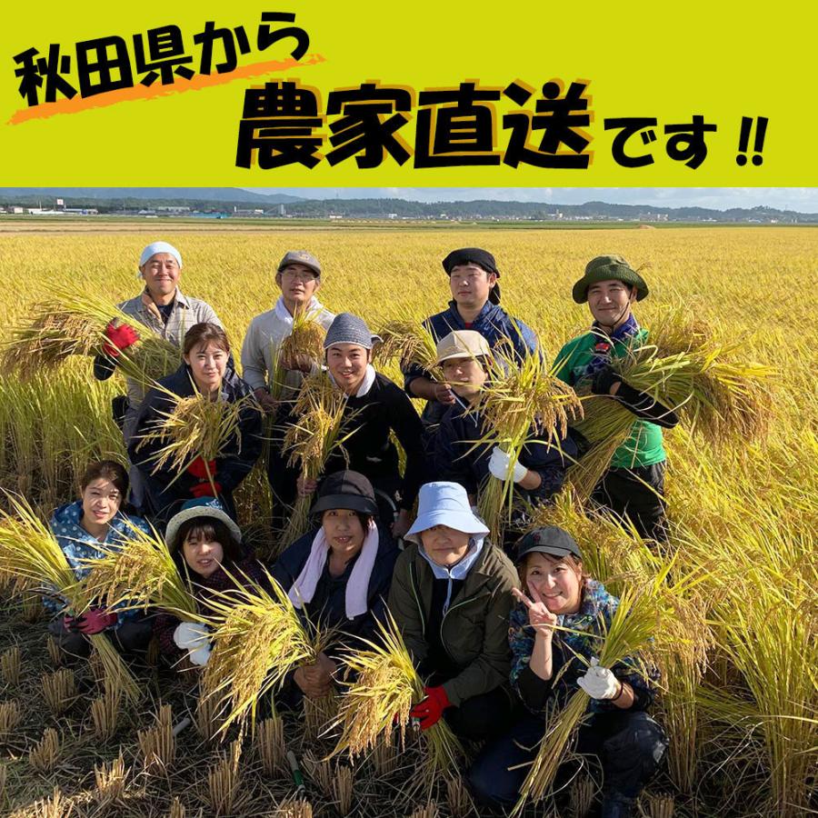 新米 米 お米 15kg （5kg×3袋） あきたこまち 白米 精米 令和5年産 秋田県産 農家直送 古代米お試し袋付き