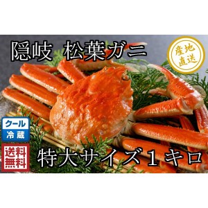 [予約 2023年12月20日-12月31日の納品] 松葉ガニ 隠岐松葉ガニ 特大サイズ １kg 蟹 ズワイガニ 産地直送