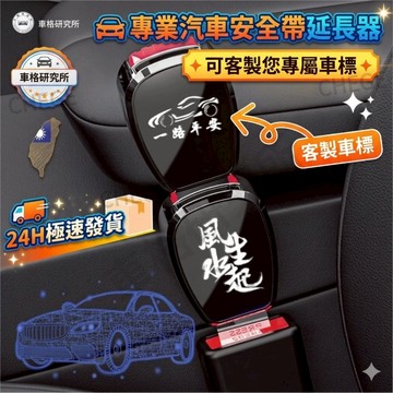 【現貨】 🚀隔日達 汽車安全帶扣 雙用揷頭安全帶扣  安全帶插扣 子母式插扣 Rav4/Yaris Cross/Bmw