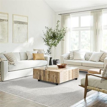 【山德力】抗汙防潑水地毯 240x340cm 菲力坦