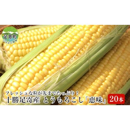 ふるさと納税 絶品とうもろこし「恵味」20本　 北海道足寄町