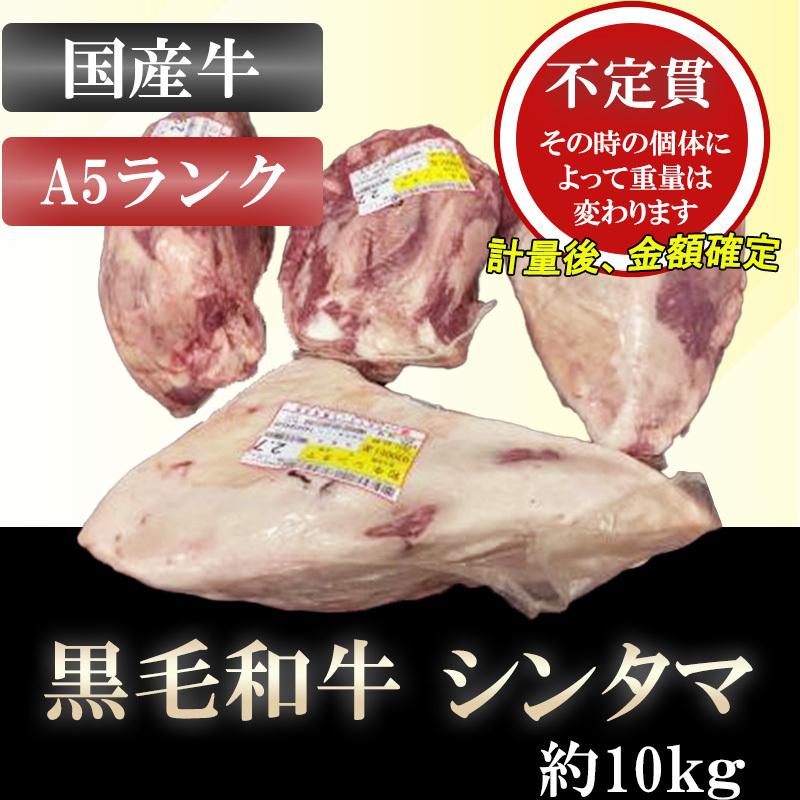 黒毛和牛 シンタマ 約10kg A5ランク 5等級 牛モモ肉 牛もも肉 国産牛 ブロック 業務用 贈答品 ギフト ブランド牛