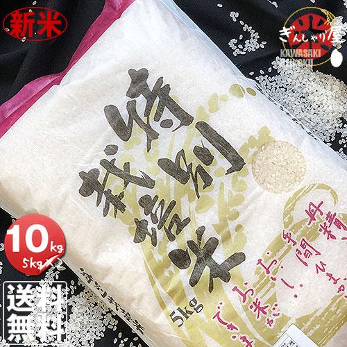 新米 米 10kg 5kg×2袋セット お米 ゆめぴりか 北海道産 特別栽培米 白米 令和5年産 送料無料