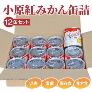 小原紅みかん缶詰　12缶セット (災害・備蓄・保存食・非常食)_M08-0012