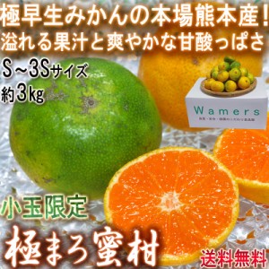 極まろ蜜柑 グリーン温州みかん 約3kg S～3Sサイズ 小玉限定 熊本県産 極早生ミカンの聖地、熊本産！緑の果実に爽やかな甘さ