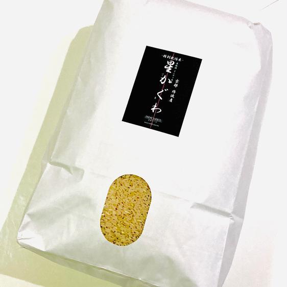 米・穀物 玄米 令和5年 京都特別栽培米 インディカ 10kg 産地直送