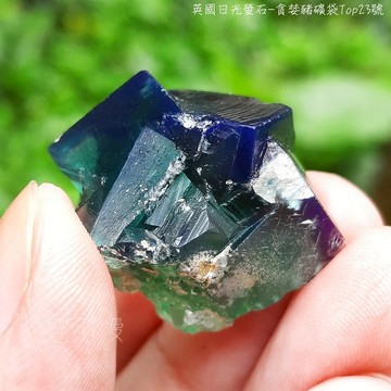 土桑精選:英國日光螢石-貪婪豬礦袋Top23號