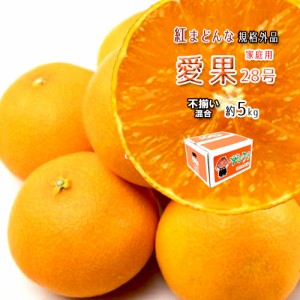 みかん 箱買い 家庭用 紅まどんな 愛果28号 家庭用 みかん べにまどんな 愛媛県産 約5ｋｇ 送料無料