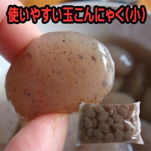 ポイント消化 ちびっこ玉こんにゃく 小 290g×2袋 メール便 小玉 通販 料理 ダイエット 食事 蒟蒻 コンニャク なまため 福島 土産 国産