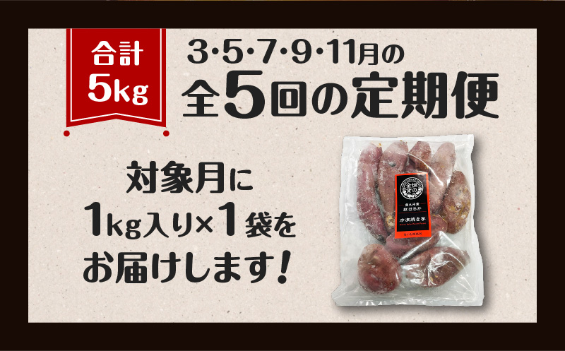 焼き芋紅はるか1kg 定期便　K181-T01