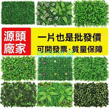 ✅店家嚴選 ⑦天鑒賞✅仿真植物牆裝飾假草坪綠植牆加密米蘭帶花尤加利草坪秧苗菠蘿草