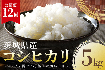 定期便12回 コシヒカリ 5kg こしひかり 米 白米 茨城県産 新米 お弁当 おにぎり 47-E