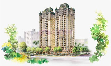 住商帥爸~彥騰~專約~九揚華都面林蔭4房車｜新北市林口區文化三路一段