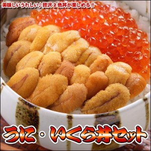 うに いくら 海鮮丼セット 送料無料 ※沖縄は送料別途加算