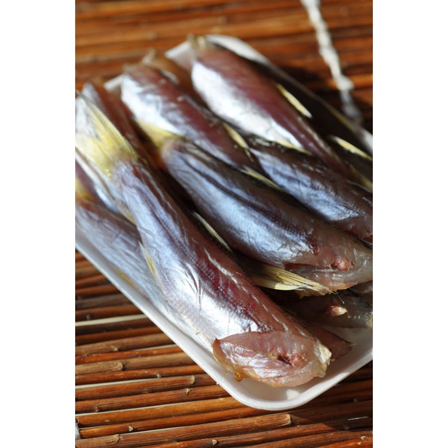 魚干物 新潟の魚 カマスの一夜干し