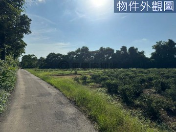 龍潭十股路中科院青山院區旁美農地｜桃園市龍潭區高平段