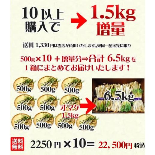 島らっきょう 生 500g 伊江島産 沖縄 お取り寄せ グルメ