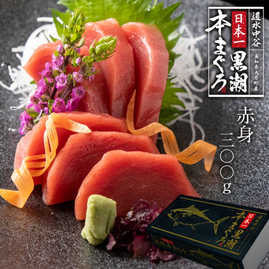 日本一黒潮本まぐろ　赤身300g