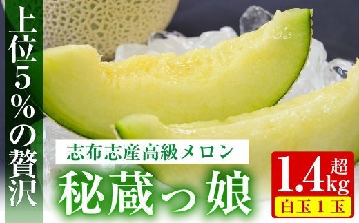 a5-112 ＜R5年11月下旬～12月末頃発送予定＞極上メロン「秘蔵っ娘」白玉(青肉)1個