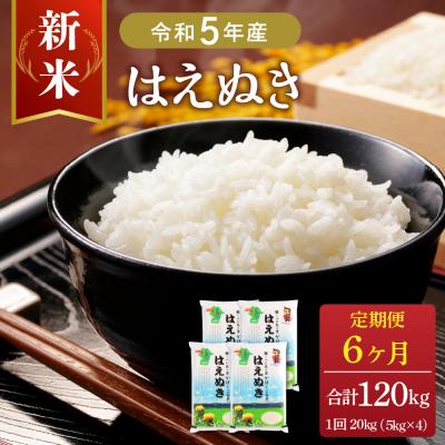 ふるさと納税 河北町 2023年12月下旬スタート はえぬき120kg(20kg×6ヶ月)定期便 山形県産