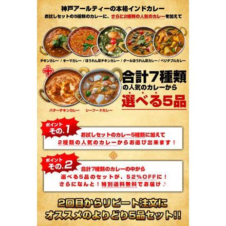 カレー 人気の インドカレー 選べる 5品 セット   セール