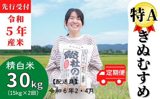 特Aきぬむすめ30kg定期便（15㎏×2回）岡山県総社市産〔令和6年2月・4月配送〕 23-025-004