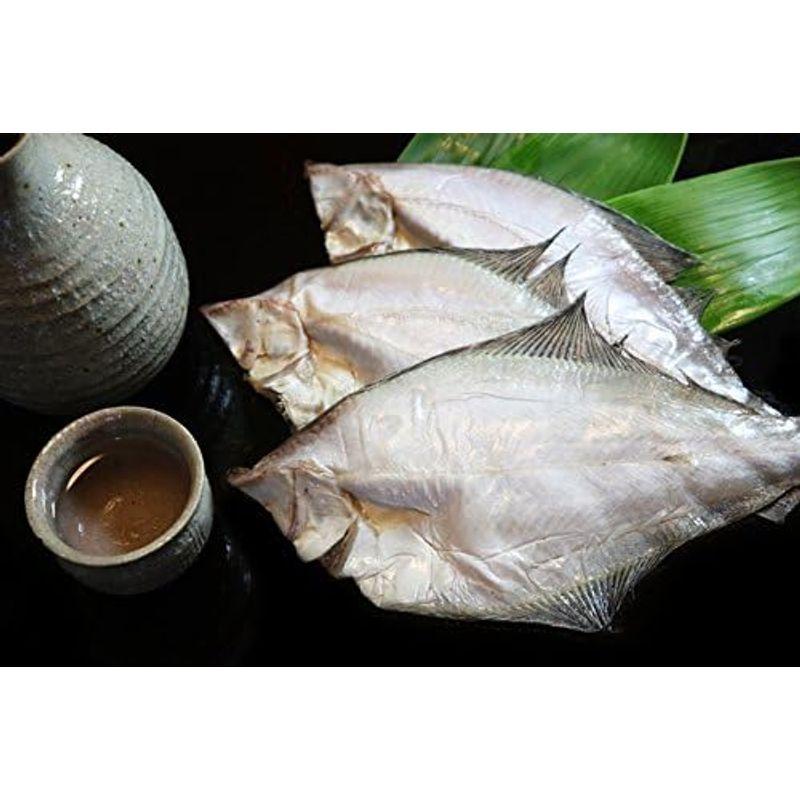 活彩 北海道 北の魚一夜干しセット豪華セット ホッケ開き   縞ホッケ   宗八カレイ   ナメタカレイ   ニシン開き   こまい 季節に