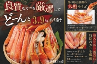 ボイル ずわいがに 総重量 3.9kg （内容量 3kg） 1.3kg×3パック カニ ハーフカット 脚 あし 足 ずわい カニ爪 肩肉 爪下 カニしゃぶ しゃぶしゃぶ ポーション 冷凍 蟹 ずわい蟹 鍋 焼きガニ