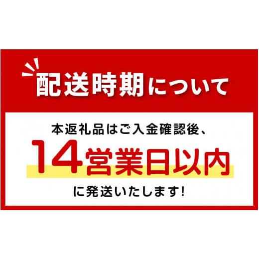 ふるさと納税 北海道 北見市 《14営業日以内に発送》たまコロ5袋セット コロッケ たまねぎ タマネギ 玉葱 た…