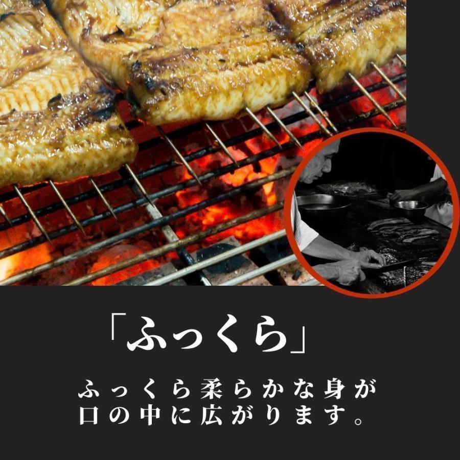 うなぎ 蒲焼 3尾 国産  鰻 ウナギ お中元 高級 人気 美味しい 浜名湖 静岡 老舗 店舗 冷蔵 のし 朝じめ 贈答 贈り物 ギフト お祝い お取り寄せ 内祝 地焼き