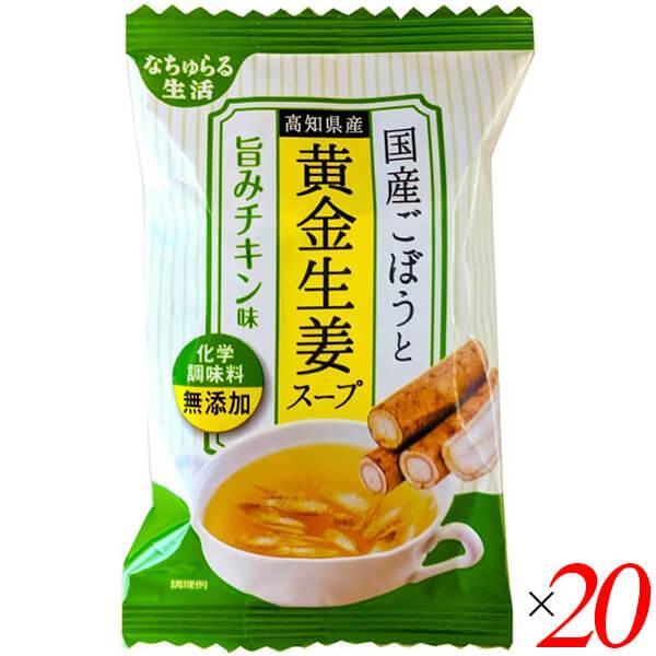 フリーズドライ スープ 即席スープ 国産ごぼうと高知県産黄金生姜スープ 旨みチキン味 9g 20個セット イー・有機生活 送料無料