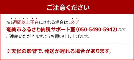 樹上完熟、農家直送！とろける甘さの黄金果肉 マンゴー 優品 甘い 完熟 奄美 国産 奄美産 フルーツ 果実 果物 奄美 鹿児島